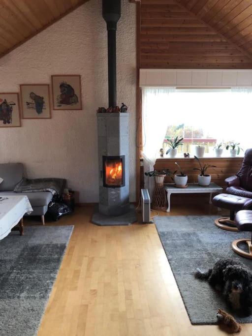 Floor With Amazing View And Location * Tromsø